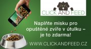 www.clickandfeed.cz